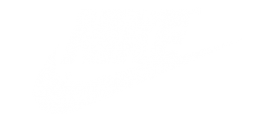Nike Phantom Flex 4k
